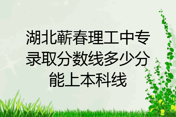 湖北蕲春理工中专录取分数线多少分能上本科线