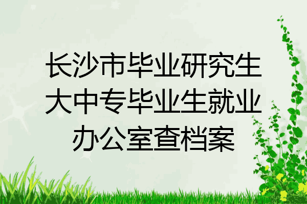 长沙市毕业研究生大中专毕业生就业办公室查档案