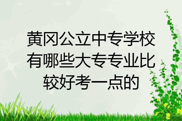 黄冈公立中专学校有哪些大专专业比较好考一点的