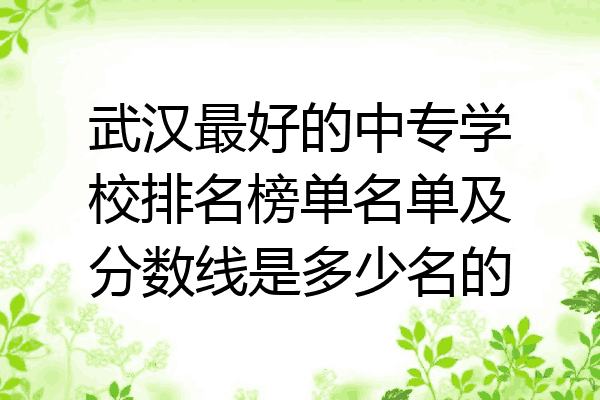 武汉最好的中专学校排名榜单名单及分数线是多少名的
