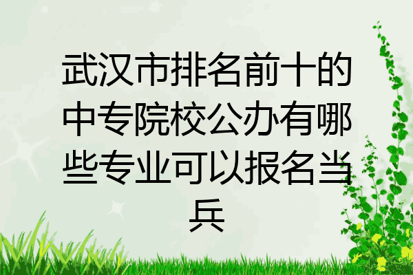 武汉市排名前十的中专院校公办有哪些专业可以报名当兵