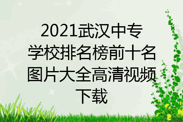 2021武汉中专学校排名榜前十名图片大全高清视频下载