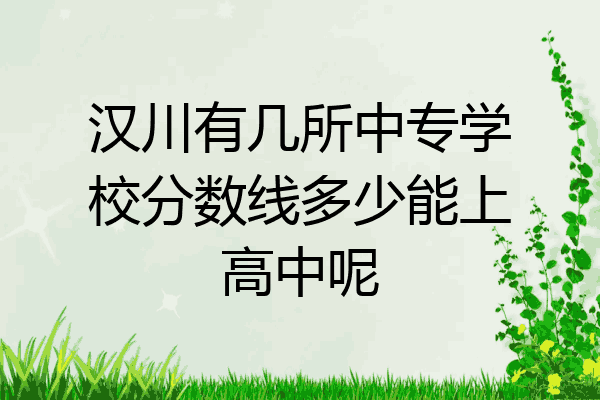 汉川有几所中专学校分数线多少能上高中呢