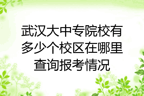 武汉大中专院校有多少个校区在哪里查询报考情况
