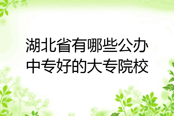 湖北省有哪些公办中专好的大专院校
