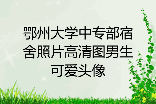 鄂州大学中专部宿舍照片高清图男生可爱头像