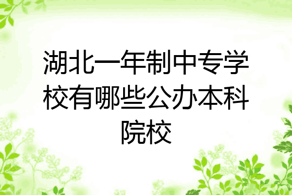 湖北一年制中专学校有哪些公办本科院校