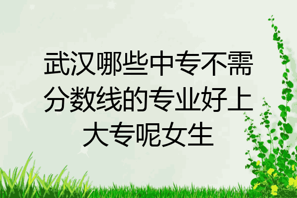 武汉哪些中专不需分数线的专业好上大专呢女生