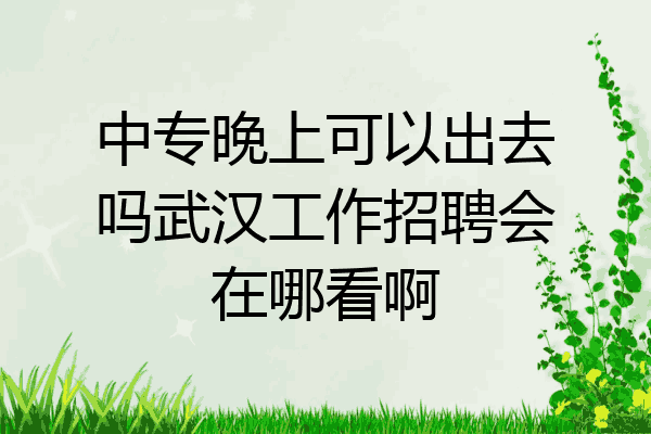 中专晚上可以出去吗武汉工作招聘会在哪看啊