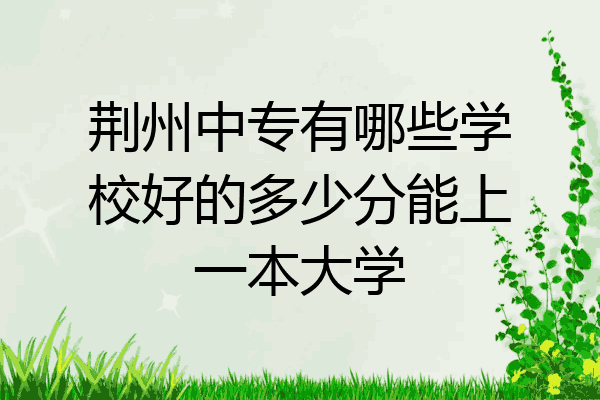 荆州中专有哪些学校好的多少分能上一本大学