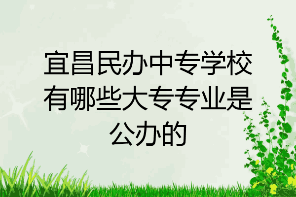 宜昌民办中专学校有哪些大专专业是公办的