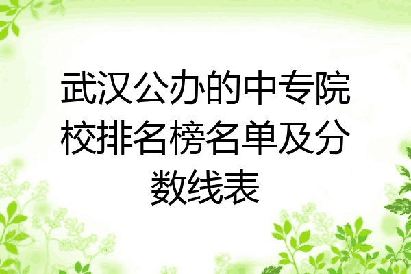 武汉公办的中专院校排名榜名单及分数线表