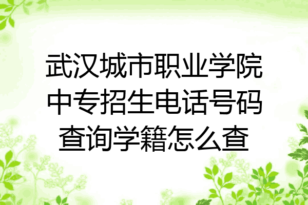 武汉城市职业学院中专招生电话号码查询学籍怎么查