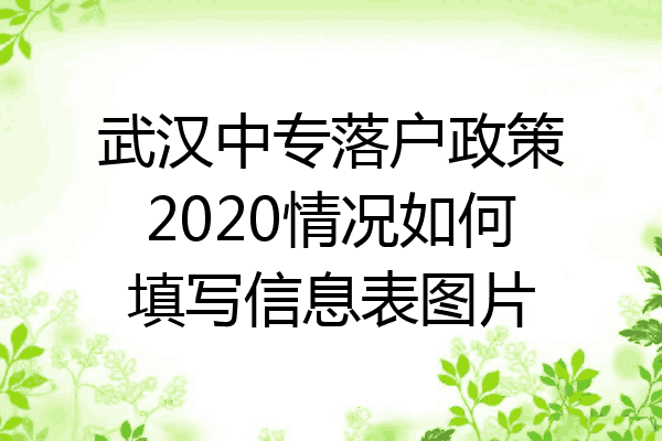 武汉中专落户政策2020情况如何填写信息表图片
