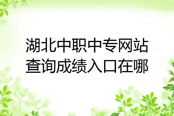 湖北中职中专网站查询成绩入口在哪