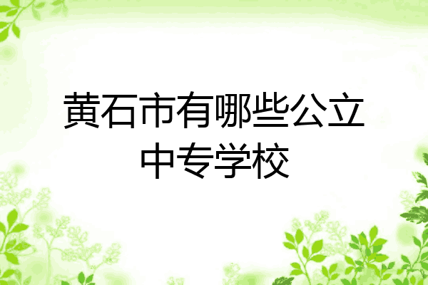 黄石市有哪些公立中专学校
