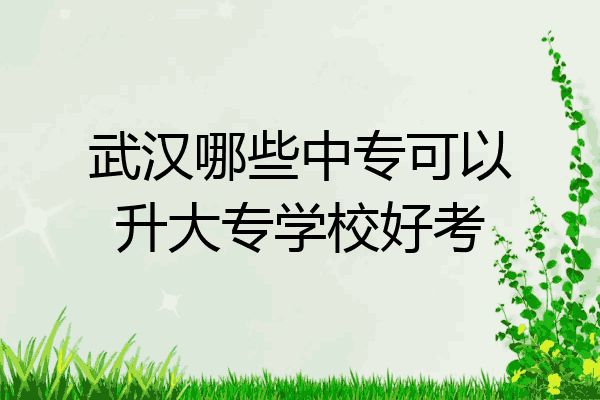 武汉哪些中专可以升大专学校好考