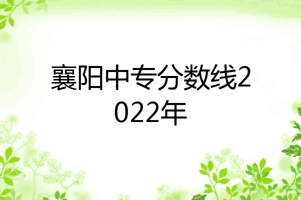 襄阳中专分数线2022年