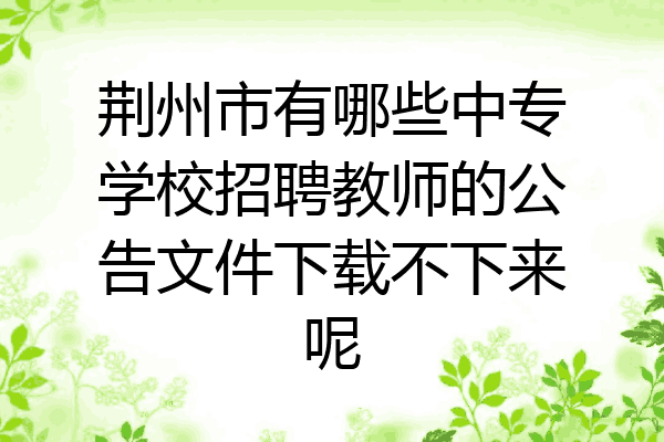 荆州市有哪些中专学校招聘教师的公告文件下载不下来呢
