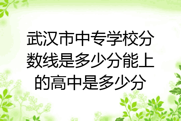 武汉市中专学校分数线是多少分能上的高中是多少分