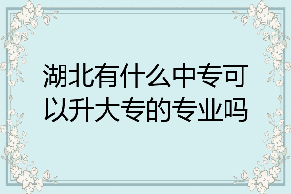 湖北有什么中专可以升大专的专业吗