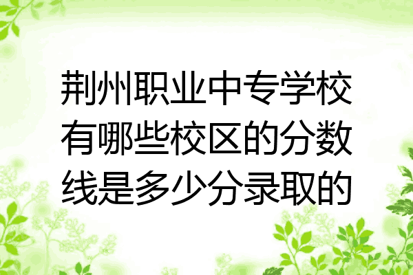 荆州职业中专学校有哪些校区的分数线是多少分录取的
