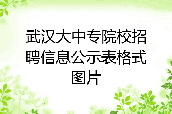 武汉大中专院校招聘信息公示表格式图片
