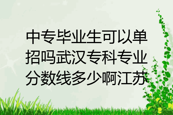 中专毕业生可以单招吗武汉专科专业分数线多少啊江苏