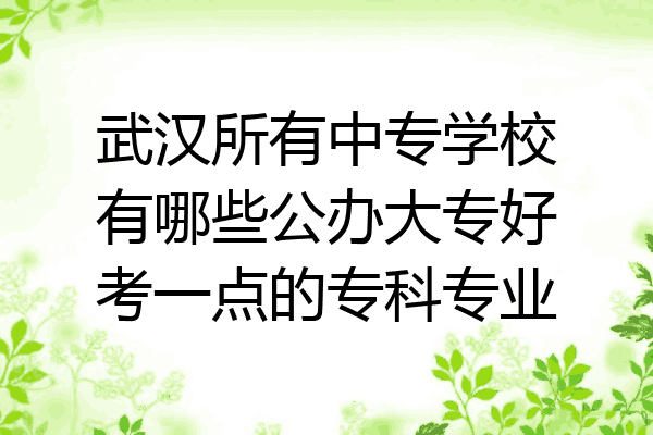 武汉所有中专学校有哪些公办大专好考一点的专科专业