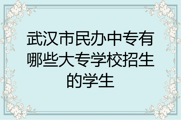 武汉市民办中专有哪些大专学校招生的学生