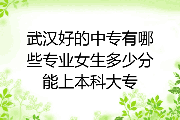 武汉好的中专有哪些专业女生多少分能上本科大专