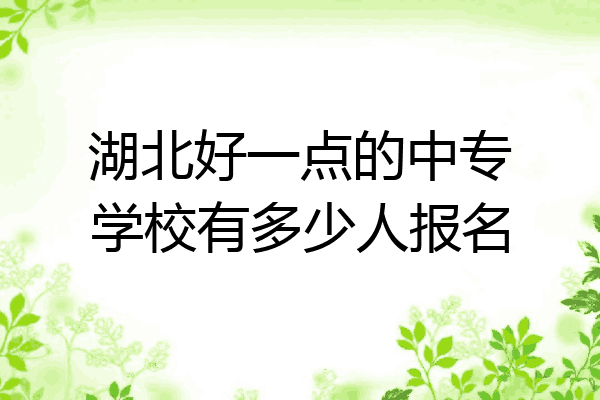 湖北好一点的中专学校有多少人报名