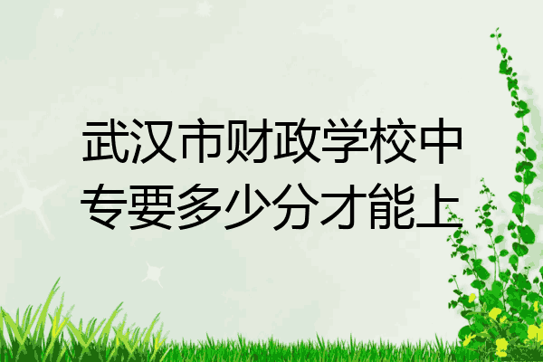 武汉市财政学校中专要多少分才能上