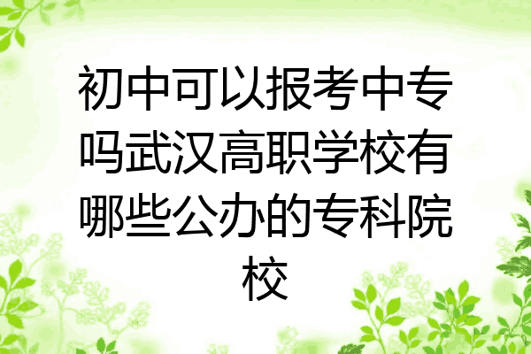 初中可以报考中专吗武汉高职学校有哪些公办的专科院校