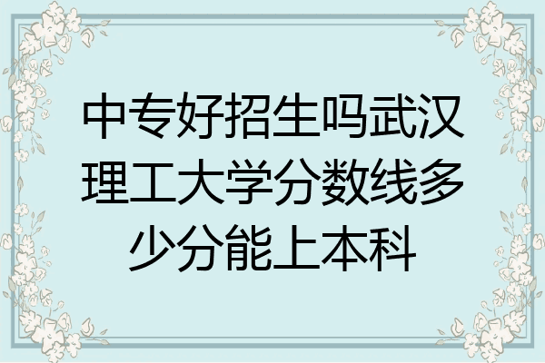中专好招生吗武汉理工大学分数线多少分能上本科