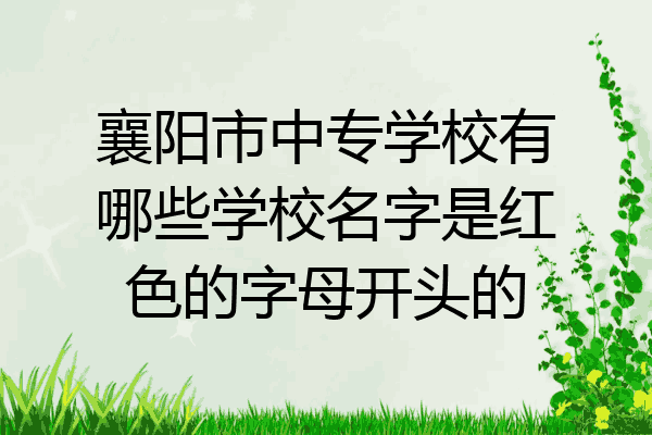 襄阳市中专学校有哪些学校名字是红色的字母开头的