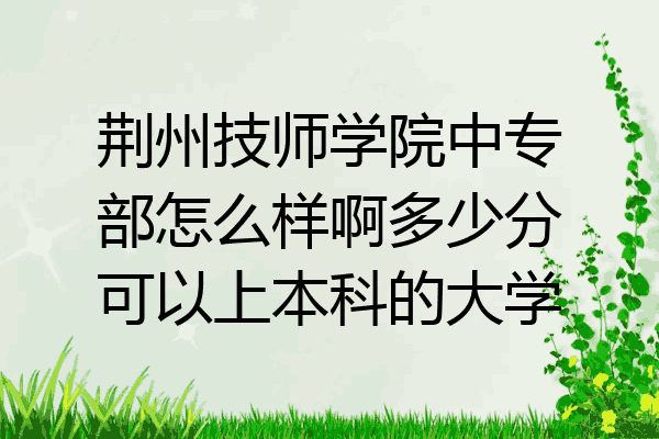荆州技师学院中专部怎么样啊多少分可以上本科的大学