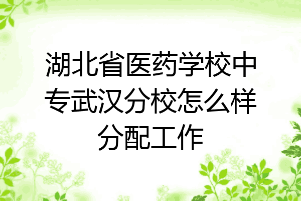 湖北省医药学校中专武汉分校怎么样分配工作