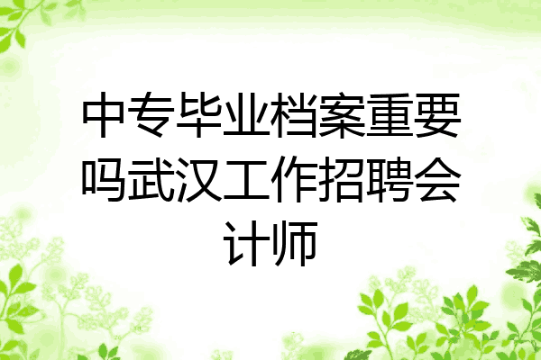 中专毕业档案重要吗武汉工作招聘会计师