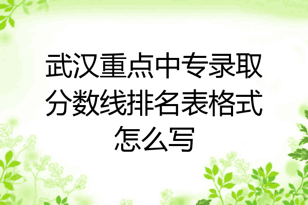 武汉重点中专录取分数线排名表格式怎么写