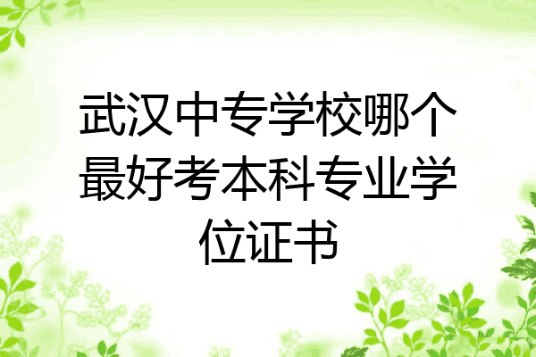 武汉中专学校哪个最好考本科专业学位证书
