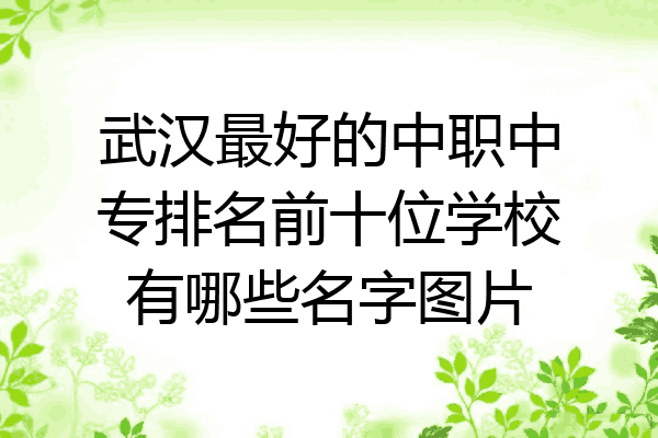 武汉最好的中职中专排名前十位学校有哪些名字图片