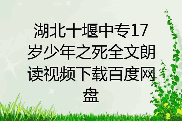 湖北十堰中专17岁少年之死全文朗读视频下载百度网盘