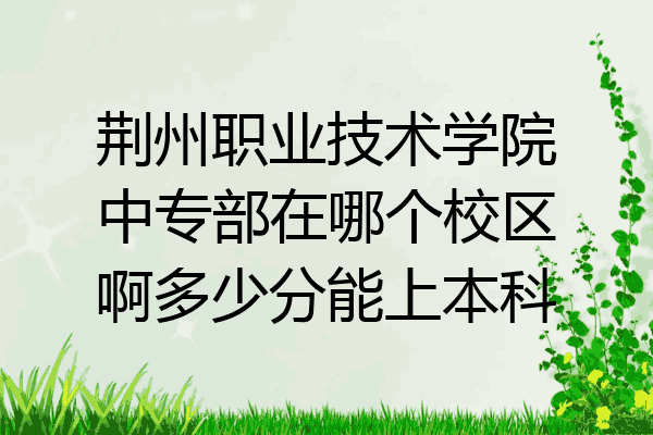荆州职业技术学院中专部在哪个校区啊多少分能上本科