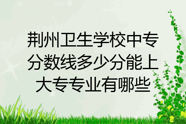 荆州卫生学校中专分数线多少分能上大专专业有哪些