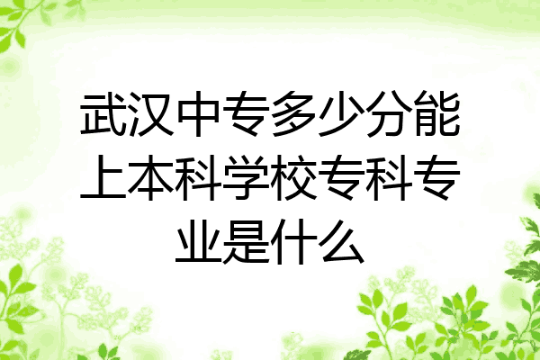 武汉中专多少分能上本科学校专科专业是什么