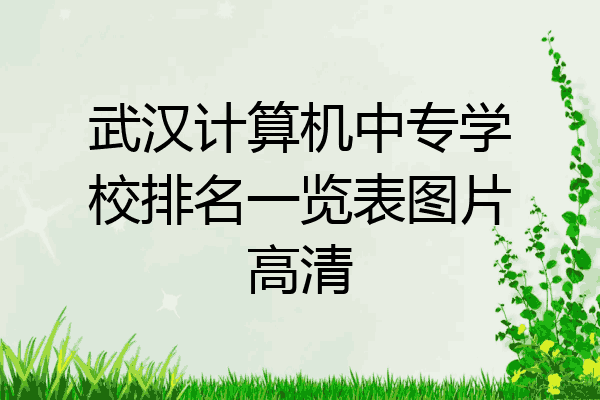 武汉计算机中专学校排名一览表图片高清
