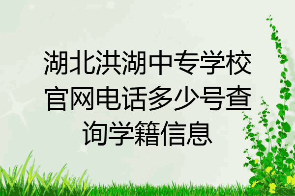 湖北洪湖中专学校官网电话多少号查询学籍信息