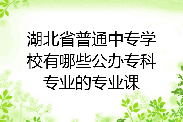 湖北省普通中专学校有哪些公办专科专业的专业课