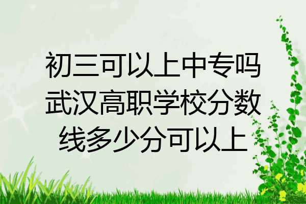 初三可以上中专吗武汉高职学校分数线多少分可以上